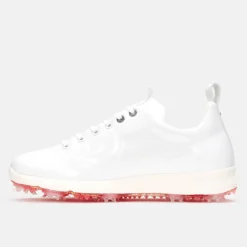 Avanti Vit-Duca del Cosma Best