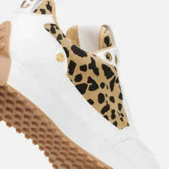 Aviva Vit-Duca del Cosma New