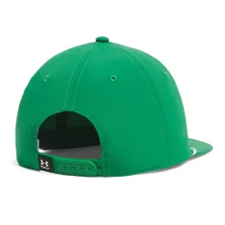 Drive 5 Panel Snapback Grön-Under Armour