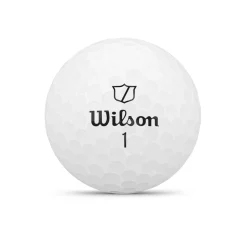 Duo Soft-Wilson Online