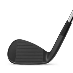 Infinite Wedge-Wilson New