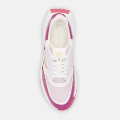 Olivera-Duca del Cosma Outlet