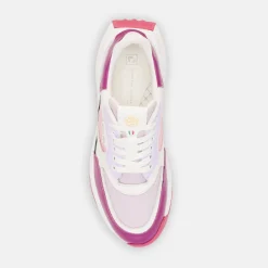 Olivera-Duca del Cosma Outlet