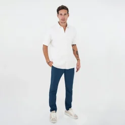 Structure-Func Factory Online