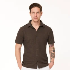 Structure-Func Factory Online